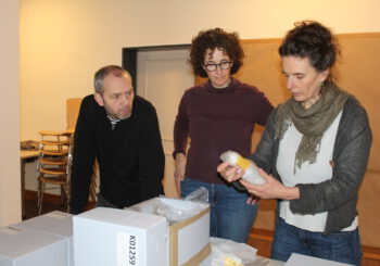 Holzobjekte für Umlagerung vorbereitet